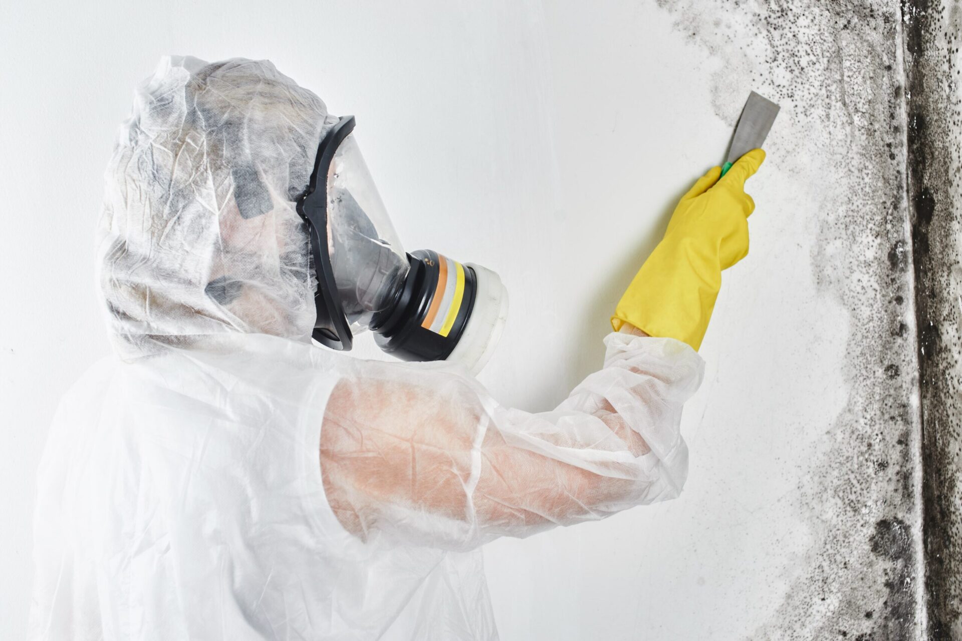 Mould signs central coast 