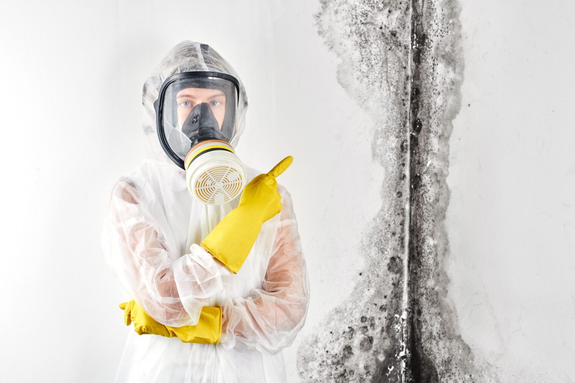 central coast mould experts
