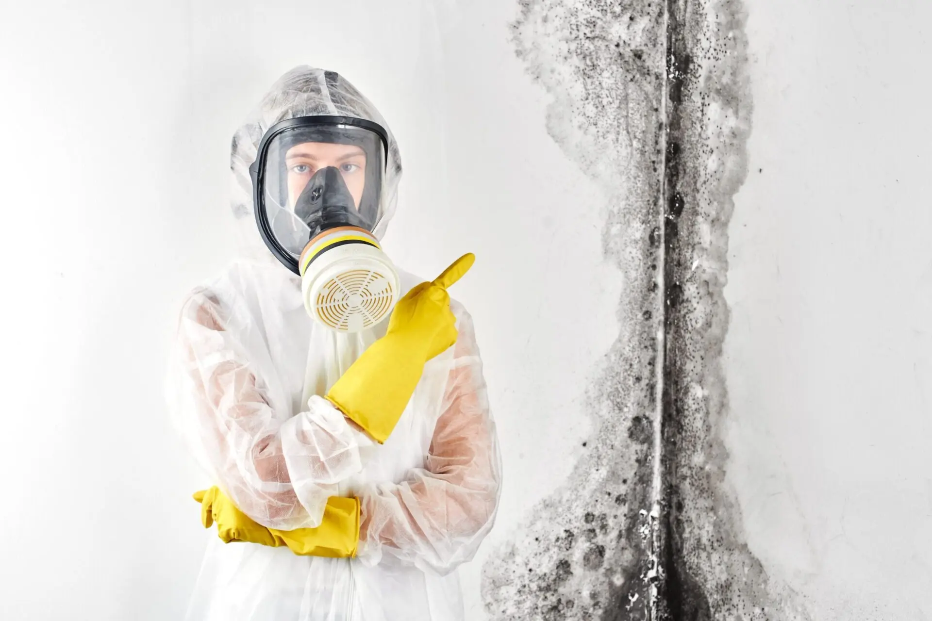 Professional mould analysis 